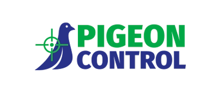 pigeon control aggiornato